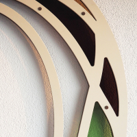 Walking stick - Diesbachia tamyris